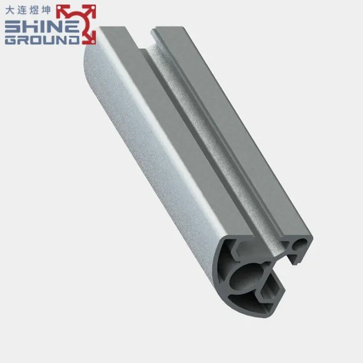 3030 T-Slot Aluminum Profile with 2 Slots